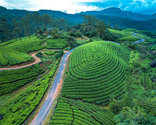 Munnar