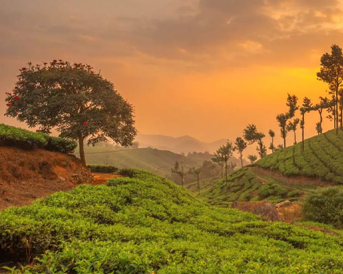 Munnar